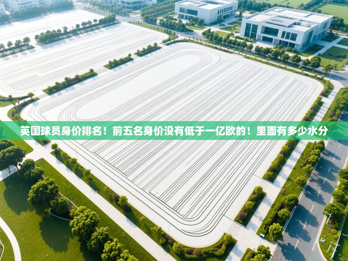 英国球员身价排名！前五名身价没有低于一亿欧的！里面有多少水分