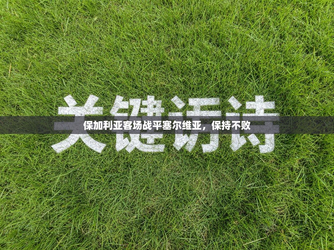 保加利亚客场战平塞尔维亚，保持不败