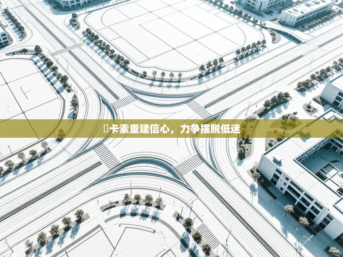 紐卡素重建信心，力争摆脱低迷