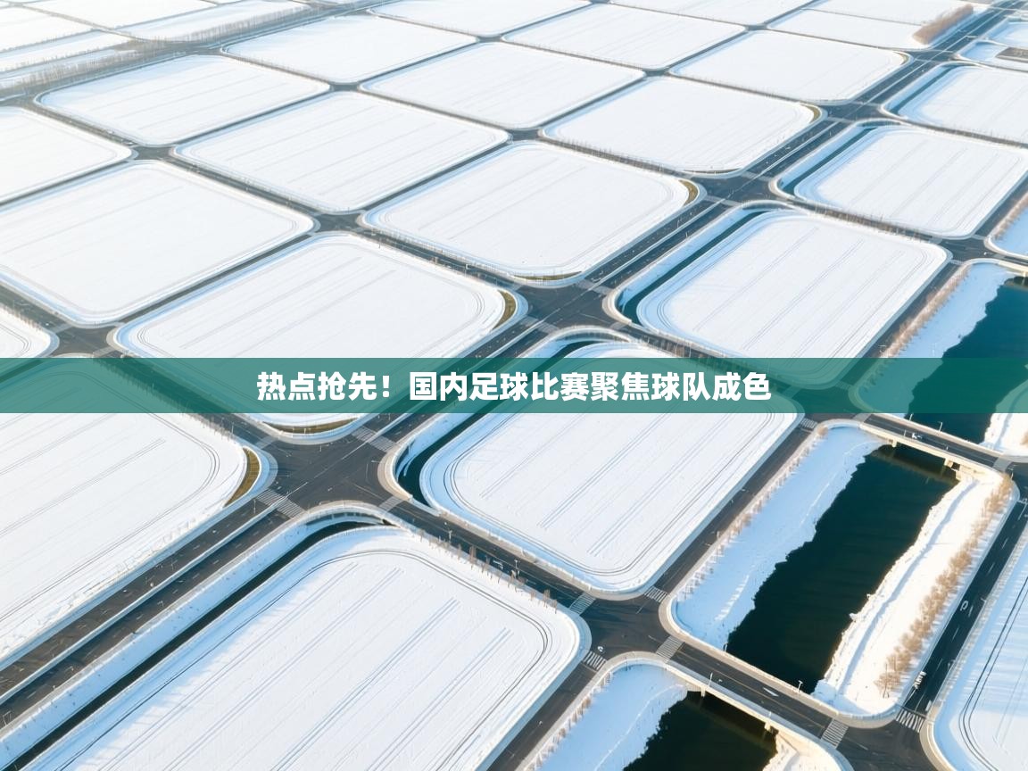 热点抢先！国内足球比赛聚焦球队成色  第2张