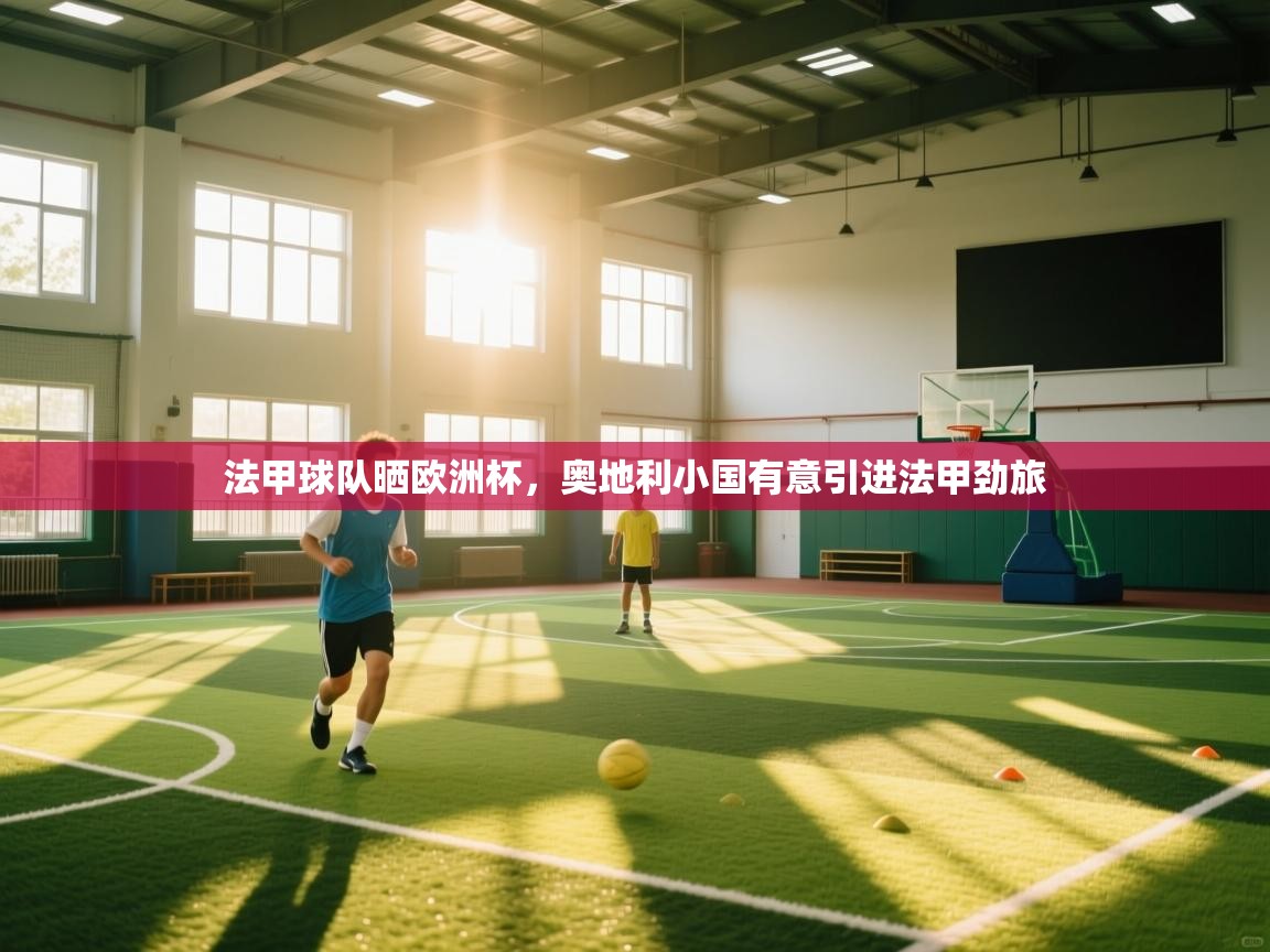 法甲球队晒欧洲杯，奥地利小国有意引进法甲劲旅  第2张