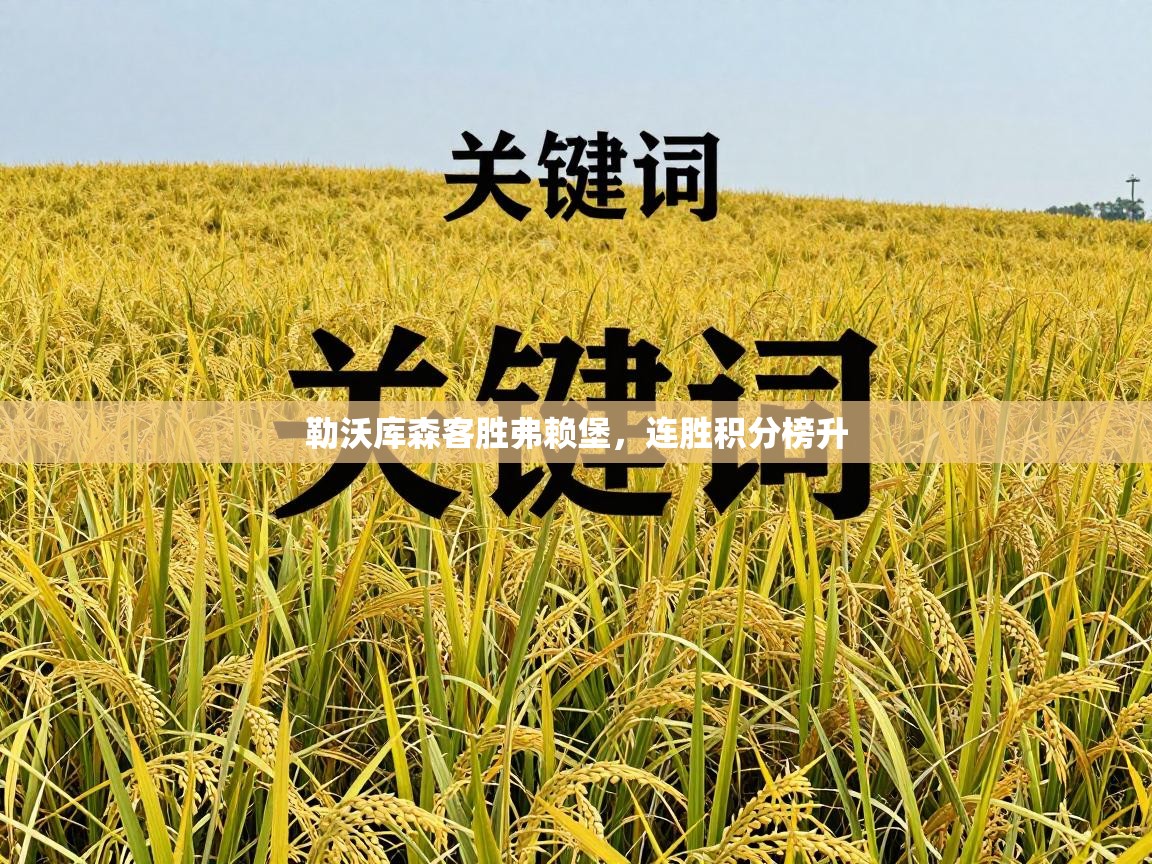 勒沃库森客胜弗赖堡，连胜积分榜升